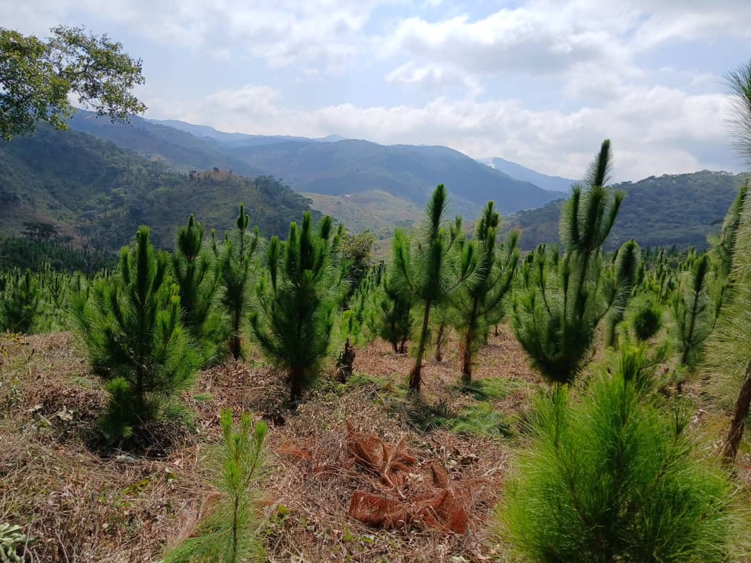 Sustainable Agriculture